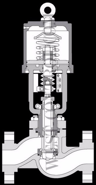 CV1000 Globe Control Valve