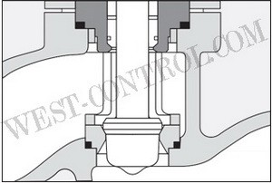 CV1100 Pressure-unbalanced Control Valve Plug