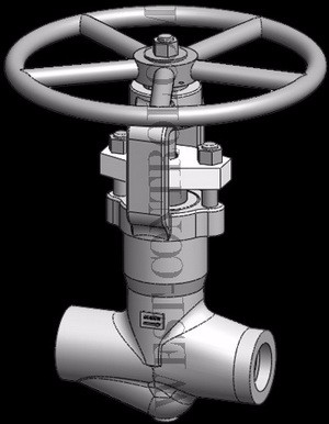 Manual Globe Valve