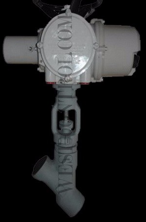 CVY Y Pattern Globe Valve