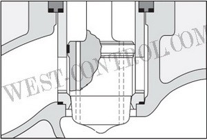 CV1200 Pressure-balanced Control Valve Plug